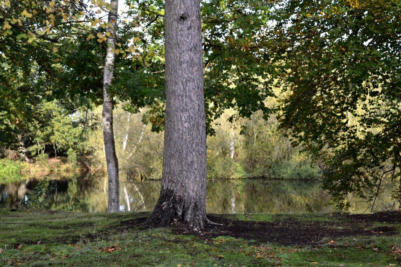 Lakewood Retreat Woodhall Spa Zewnętrze zdjęcie